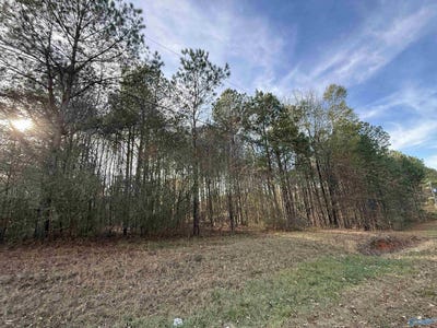 /international/us/sweetwater-lane-lot-19-rainbow-city-al-110104193350/