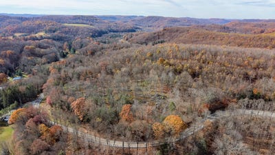 /international/us/jettsville-rd-leivasy-wv-110105733127/