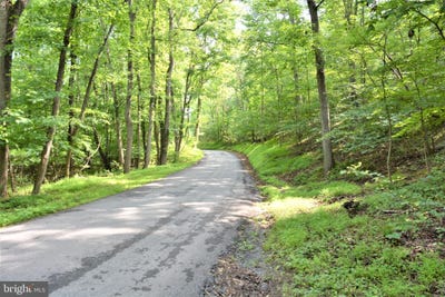/international/us/lot-11-hoover-mtn-pack-horse-road-winchester-va-110098885214/?lang=zh-tw