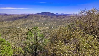 /international/us/308-low-meadow-trail-fort-davis-tx-110097188993/