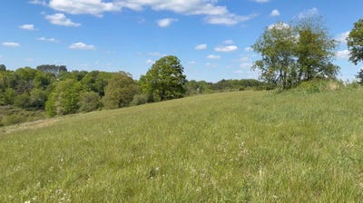/international/us/1391-lower-adkinstown-rd-mckee-ky-110107984044/