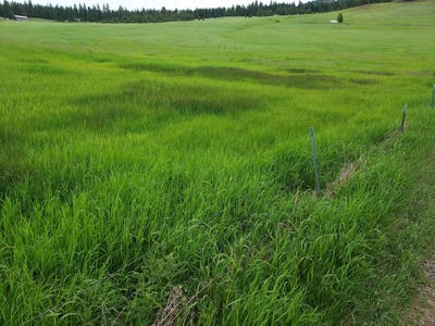 /international/us/47-old-ranch-house-road-lot-2-republic-wa-110101215435/