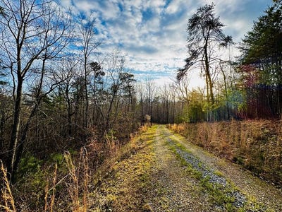 /international/us/287-lookout-valley-trail-talking-rock-ga-110106696598/