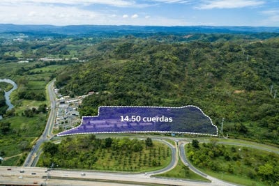 /international/pr/finca-santa-rosa-parcela-a-1-dorado-dorado-110106789897/