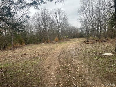 /international/us/-21-58-ac-tract-6-horstman-road-new-haven-mo-110098618811/