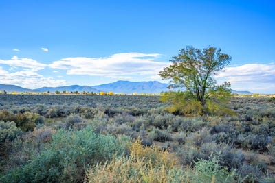 /international/us/0-paseo-del-canon-and-weimer-rd-taos-nm-110096224968/?lang=zh-tw