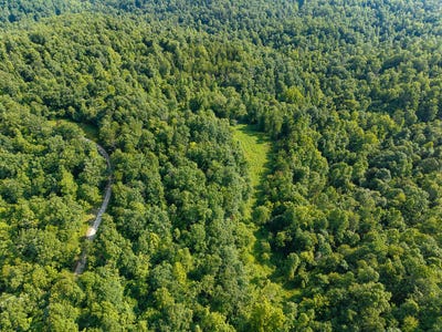 /international/us/500-clay-camp-road-road-hitchins-ky-110101041712/