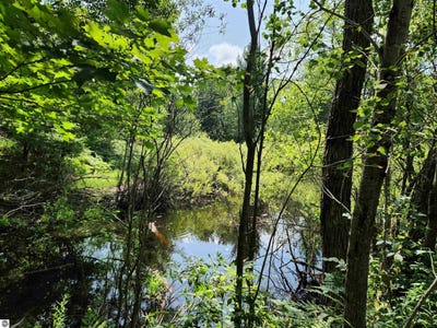 /international/us/500-east-trail-kalkaska-mi-110109808003/
