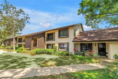 /international/us/3600-magnolia-ridge-circle-palm-harbor-fl-110107382210/