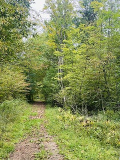 /international/us/200th-avenue-stanwood-mi-110110334646/