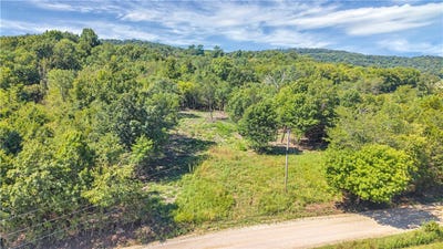 /international/us/dobbs-mountain-road-evansville-ar-110102020669/