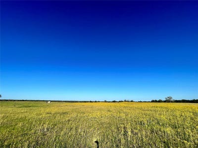 /international/us/15937-reagan-loop-loop-franklin-tx-110097993020/?lang=es