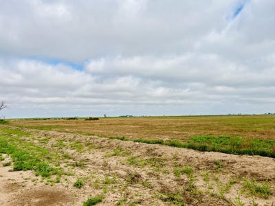 /international/us/mongoose-road-levelland-tx-110102007030/