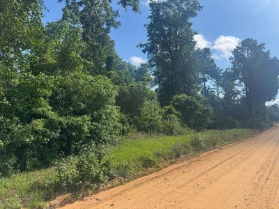 /international/us/moore-meadow-drive-lot-23-georgetown-ga-110108334693/