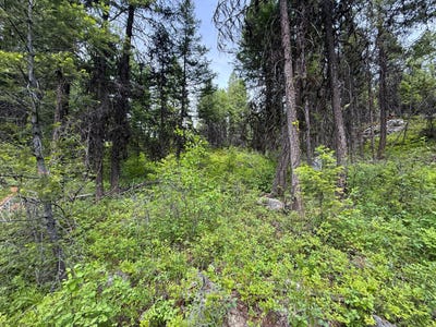 /international/us/mule-deer-rd-lot-sw-republic-wa-110109119940/