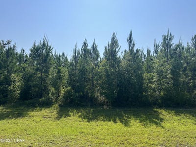 /international/us/0-se-nadine-stone-landing-road-kinard-fl-110100832385/?lang=en
