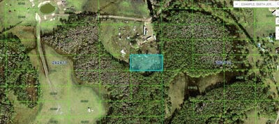 /international/us/n-a-polk-city-fl-110094195686/?lang=en