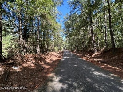 /international/us/irene-road-summit-ms-110110165694/