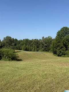 /international/us/county-road-450-lot-0-fruithurst-al-110109156578/