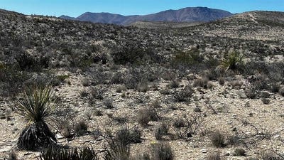 /international/us/10-trachyte-terlingua-tx-110104089345/