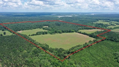 /international/us/295-county-road-2462-douglassville-tx-110108339170/