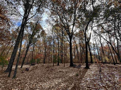 /international/us/county-rd-308-forrest-city-ar-110088701614/