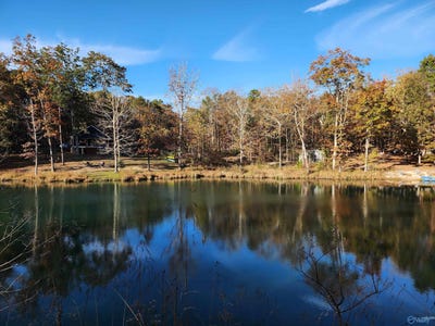 /international/us/lot-1-road-9079-mentone-al-110096120182/?lang=it