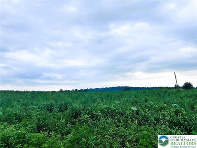 /international/us/144-wisser-road-greenwich-twp-pa-110101191262/?lang=zh-tw
