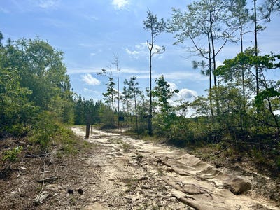 /international/us/001-old-highway-24-neely-ms-110099633601/?lang=en