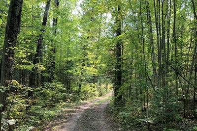 /international/us/1899-amik-lake-ln-lac-du-flambeau-wi-110099084346/