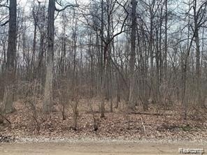 /international/us/44235-wear-road-sumpter-twp-mi-110104103718/