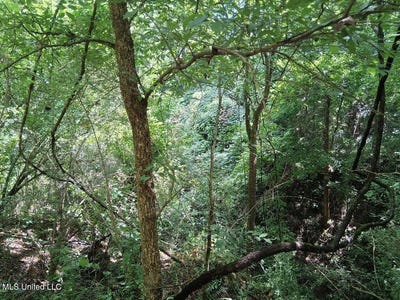 /international/us/n-azalea-lane-lot-26-natchez-ms-110102011871/