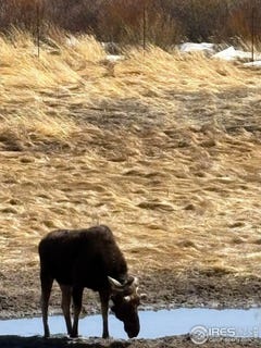 /international/us/1565-highway-66-estes-park-co-110103131874/