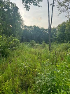 /international/us/51760-s-foster-road-chesterfield-mi-110100453200/