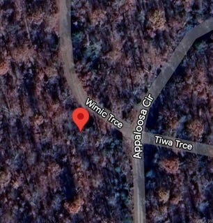 /international/us/lot-02-wimic-trace-cherokee-village-ar-110101223839/?lang=zh-tw