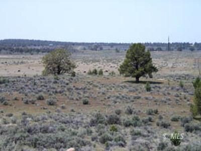 /international/us/hafer-hills-rd-ln-lot-10-alturas-ca-110096744313/