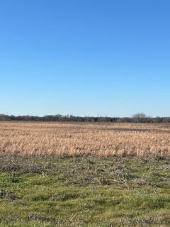 /international/us/county-road-1240-savoy-tx-110119378609/