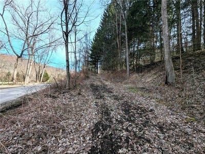 /international/us/ryan-hollow-road-cohocton-ny-110098546048/