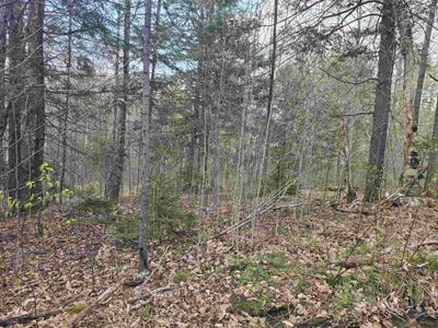 /international/us/farrar-road-chester-vt-110105065291/