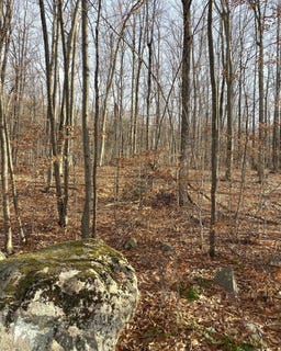 /international/us/20-forest-ridge-drive-lot-14-middlebury-vt-110104292839/