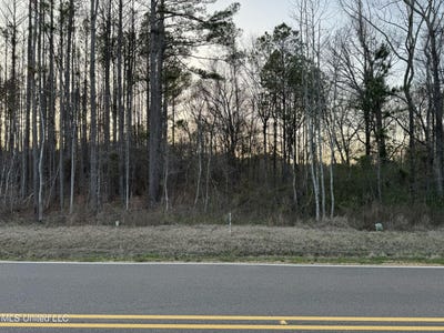 /international/us/andrew-chapel-road-brandon-ms-110090449462/