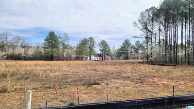 /international/us/1023-chancellors-ferry-loop-lot-24-harpersville-al-110100129124/