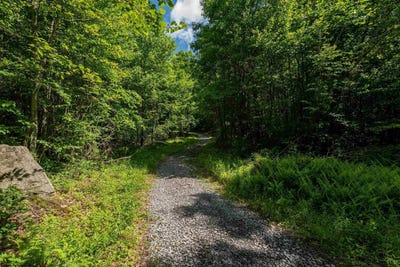 /international/us/3091b-pleasantdale-road-kingwood-wv-110108955914/
