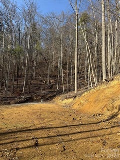 /international/us/890-fisher-branch-road-marshall-nc-110105961730/
