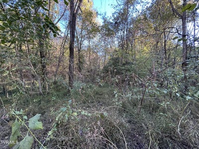 /international/us/deerfoot-lane-greeneville-tn-110120772819/