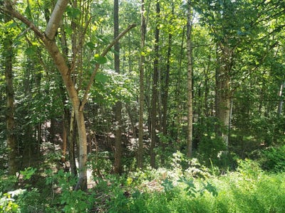 /international/us/0-knoll-woods-drive-rustburg-va-110101426914/?lang=it