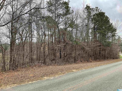 /international/us/county-road-5-lot-1-thorsby-al-110109696532/