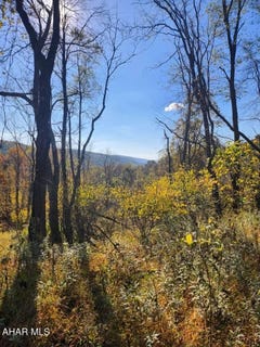 /international/us/lots-d2-d5-natures-symphony-road-imler-pa-110095502147/