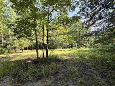 /international/us/54-5-acres-epps-rd-new-zion-sc-110110176536/
