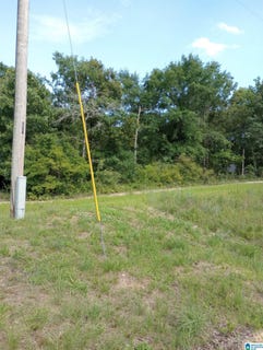 /international/us/195-hyram-road-lot-0-seale-al-110109168364/
